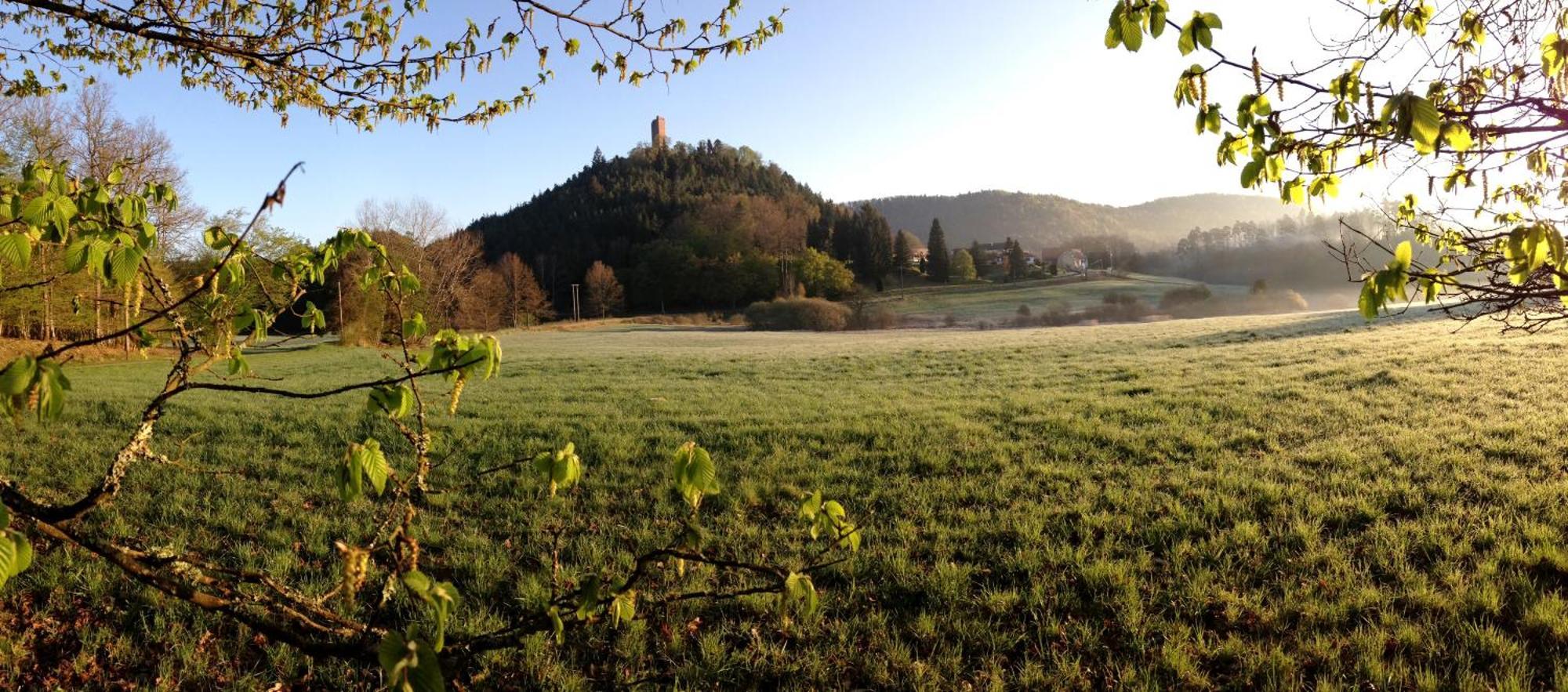 Le Gite De L'Ecureuil Sturzelbronn Esterno foto