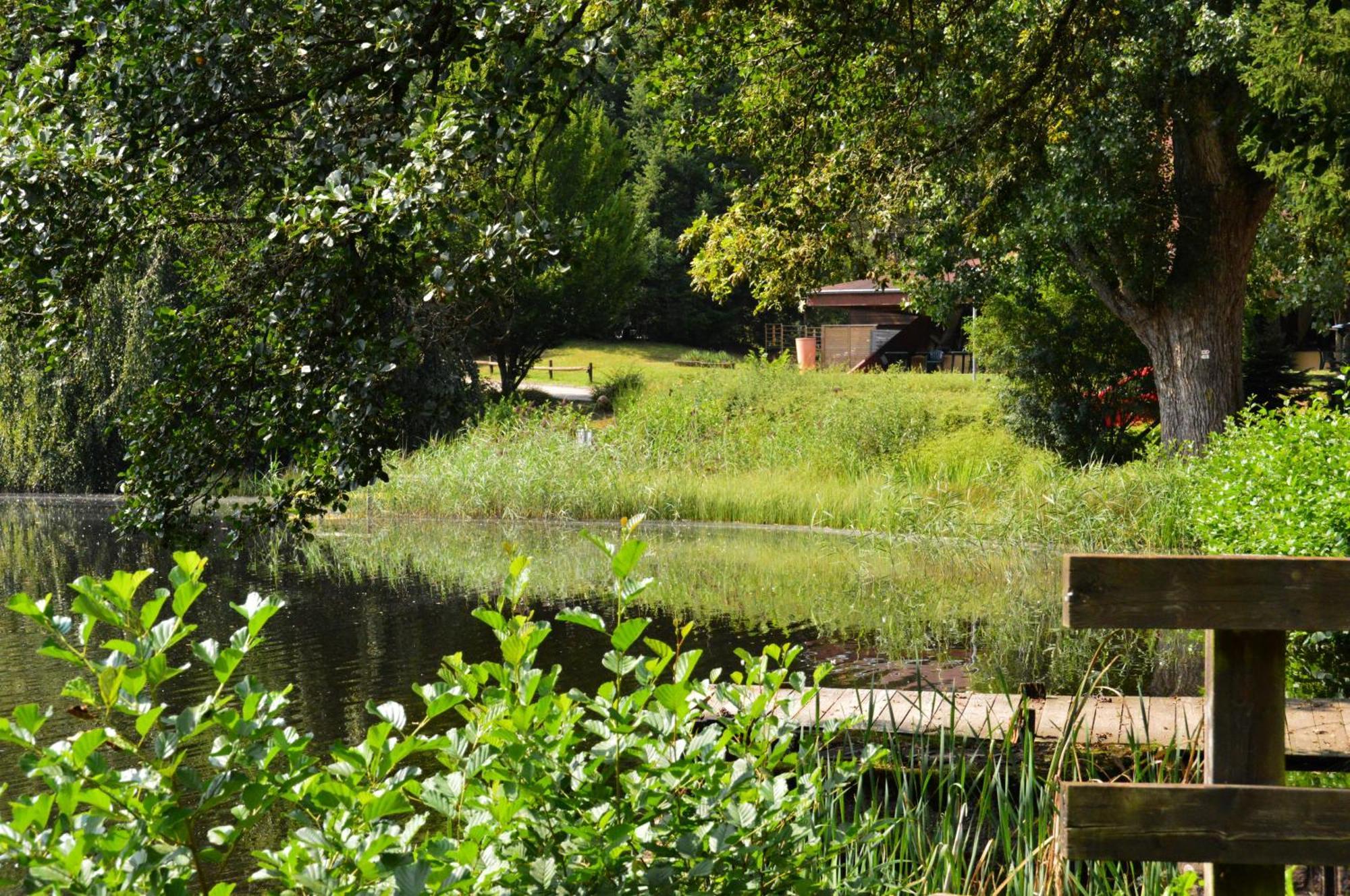 Le Gite De L'Ecureuil Sturzelbronn Esterno foto
