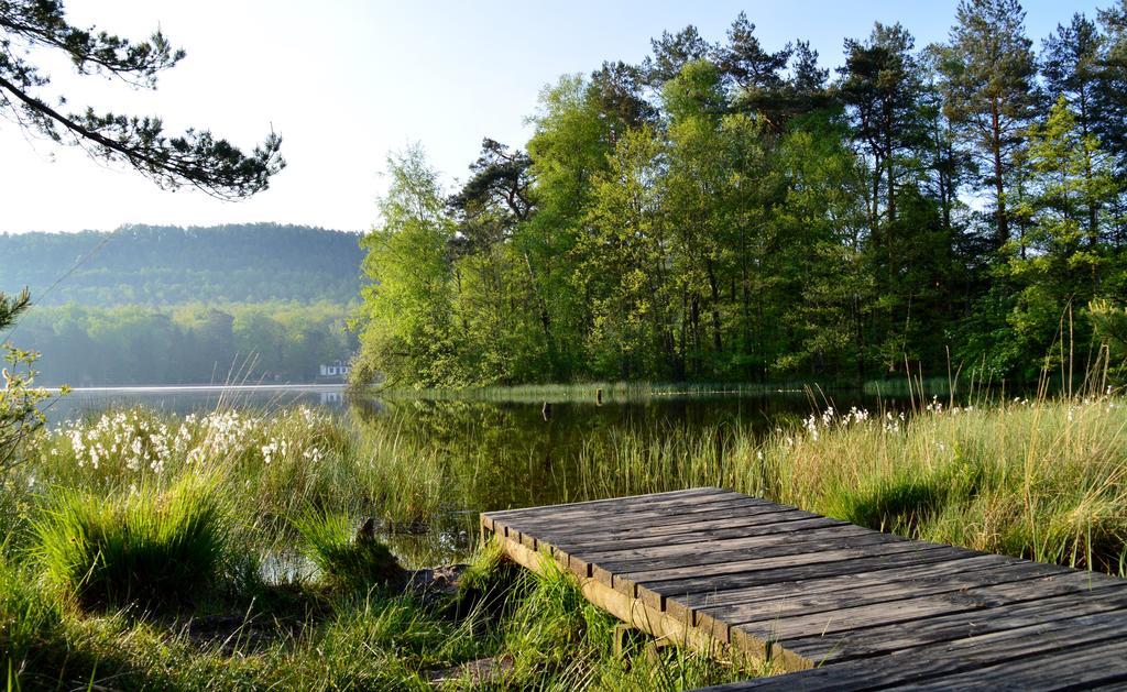 Le Gite De L'Ecureuil Sturzelbronn Esterno foto