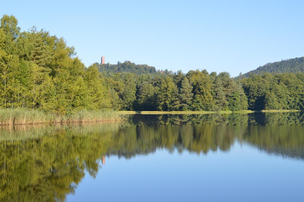 Le Gite De L'Ecureuil Sturzelbronn Esterno foto