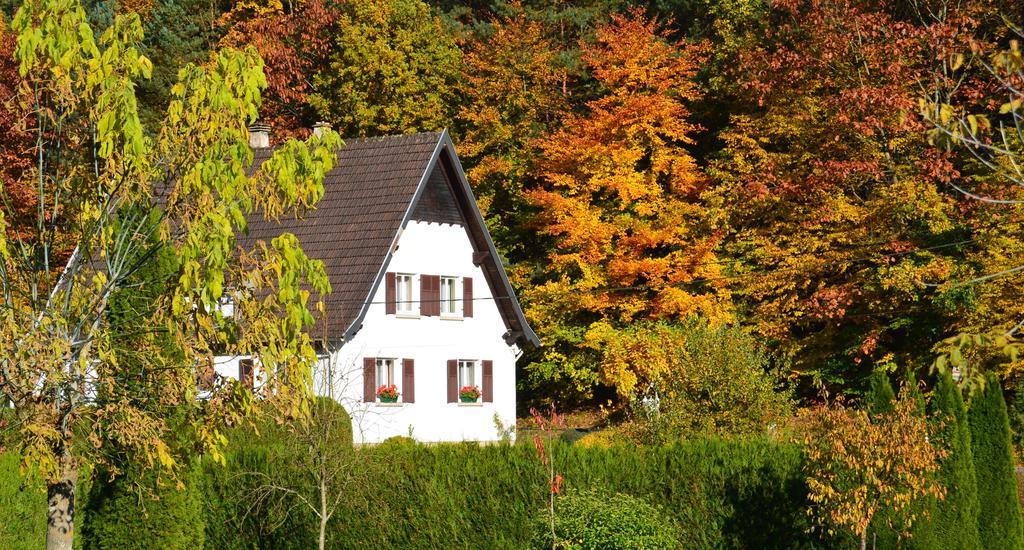 Le Gite De L'Ecureuil Sturzelbronn Esterno foto