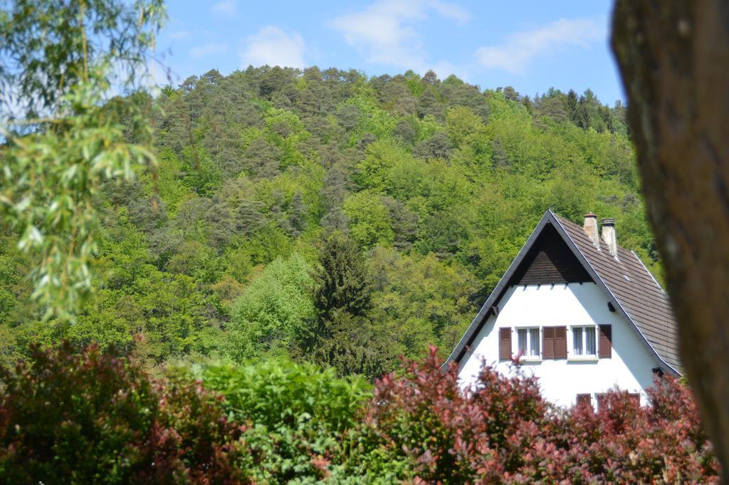 Le Gite De L'Ecureuil Sturzelbronn Esterno foto