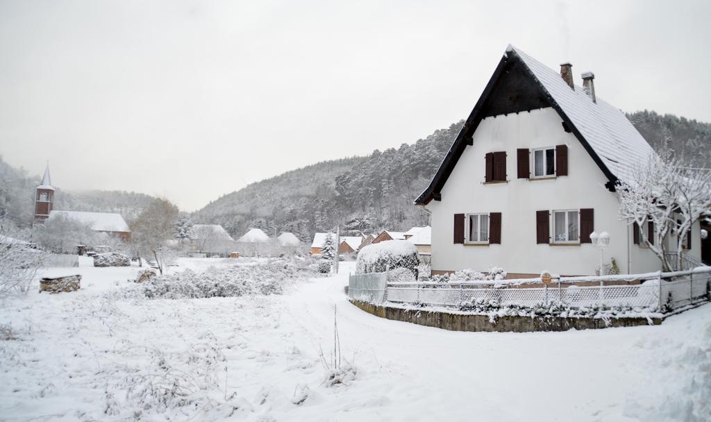 Le Gite De L'Ecureuil Sturzelbronn Esterno foto
