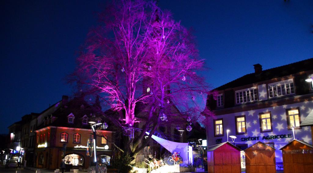 Le Gite De L'Ecureuil Sturzelbronn Esterno foto