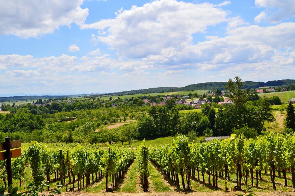 Le Gite De L'Ecureuil Sturzelbronn Esterno foto