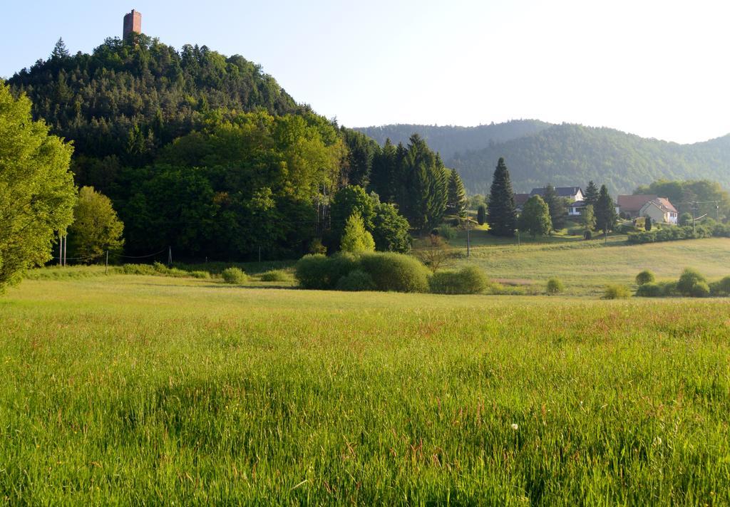 Le Gite De L'Ecureuil Sturzelbronn Esterno foto